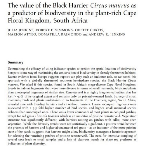 Black Harrier as a predictor of biodiversity